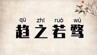 趋之若骛