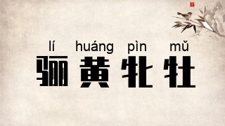 骊黄牝牡