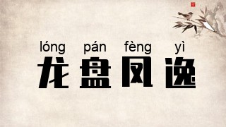 龙盘凤逸