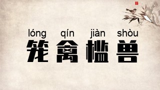 笼禽槛兽