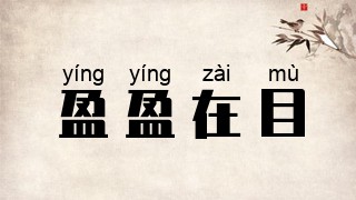 盈盈在目