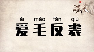 爱毛反裘
