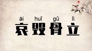哀毁骨立
