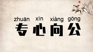 专心向公
