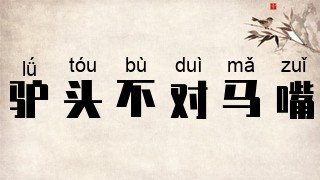 驴头不对马嘴