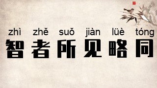 智者所见略同