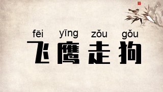 飞鹰走狗