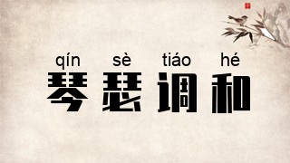 琴瑟调和