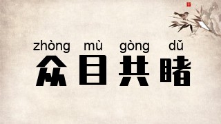 众目共睹