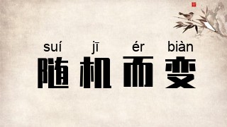 随机而变