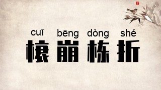 榱崩栋折
