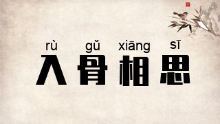 入骨相思