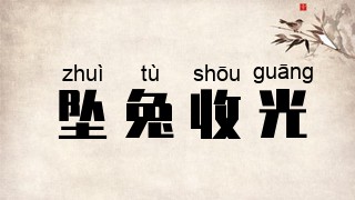 坠兔收光