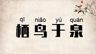 栖鸟于泉