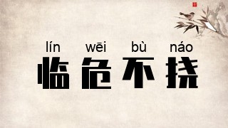 临危不挠