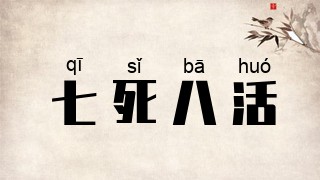 七死八活