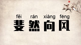 斐然向风