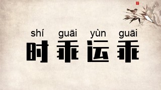 时乖运乖