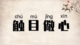 触目儆心