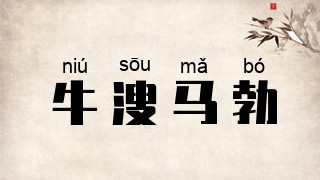 牛溲马勃