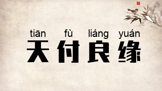 天付良缘
