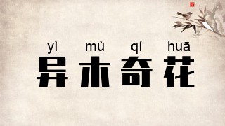 异木奇花