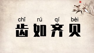 齿如齐贝