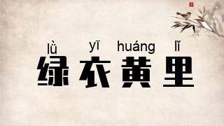 绿衣黄里