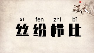 丝纷栉比