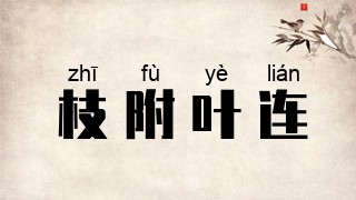 枝附叶连