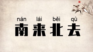 南来北去