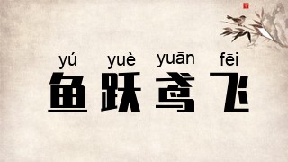 鱼跃鸢飞