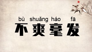 不爽毫发