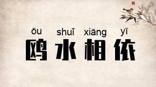 鸥水相依