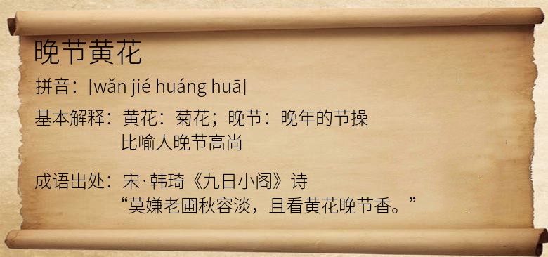 晚节黄花