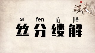 丝分缕解