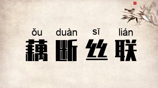 藕断丝联