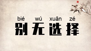 别无选择