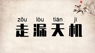 走漏天机