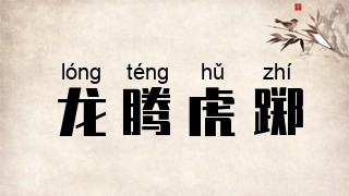 龙腾虎踯