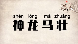 神龙马壮