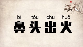 鼻头出火