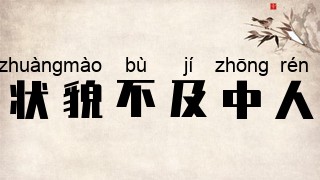 状貌不及中人