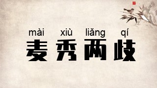 麦秀两歧