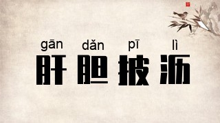 肝胆披沥