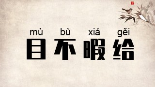 目不暇给