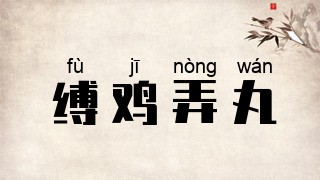 缚鸡弄丸