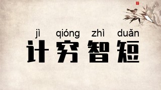 计穷智短