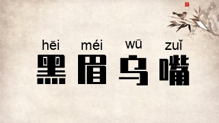 黑眉乌嘴
