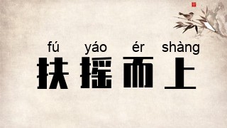 扶摇而上
